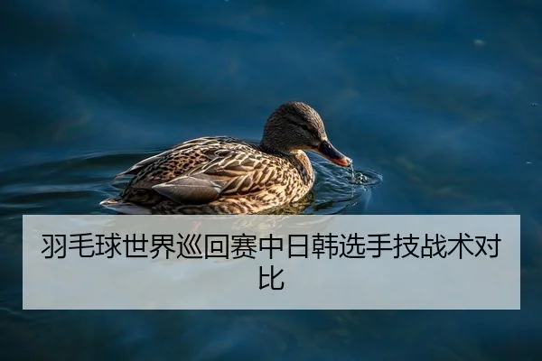 yu-mao-qiu-shi-jie-xun-hui-sai-zhong-ri-han-xuan-shou-ji-zhan-shu-dui-bi-2-800.jpg